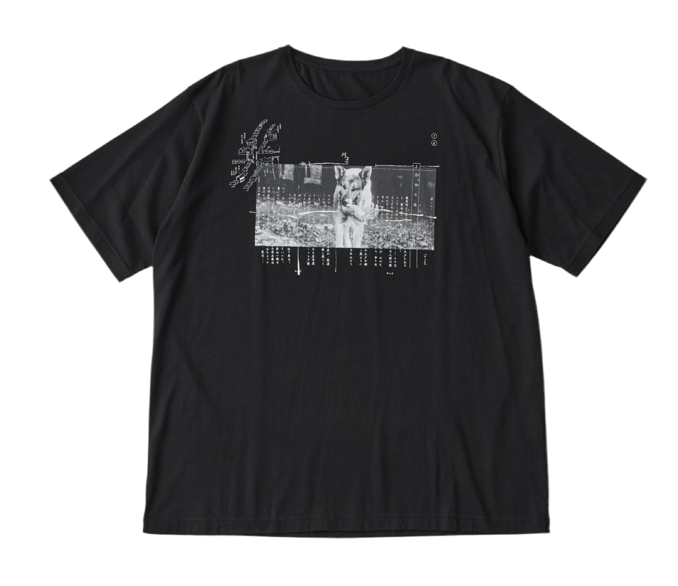 T-SHIRT 用心棒 フォト・台本 1 (犬と手)